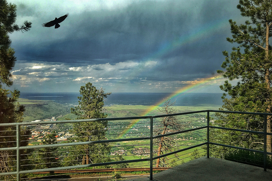 Buffalo Bill Museum & Grave