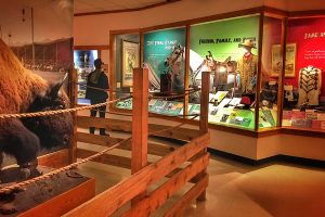 Buffalo Bill Museum exhibits.
